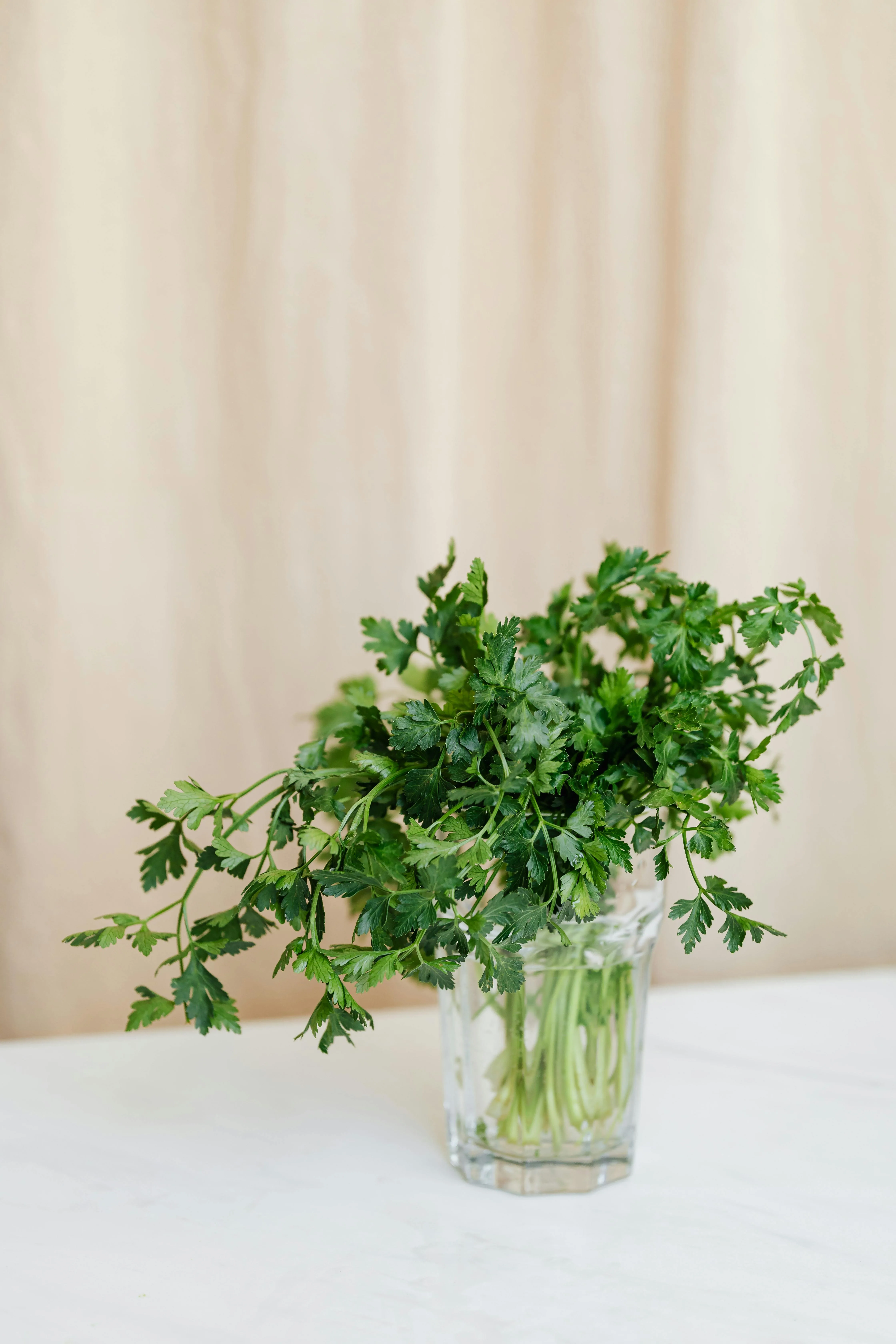 Fresh Parsley