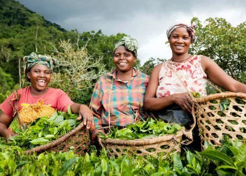 Farmer Success Story